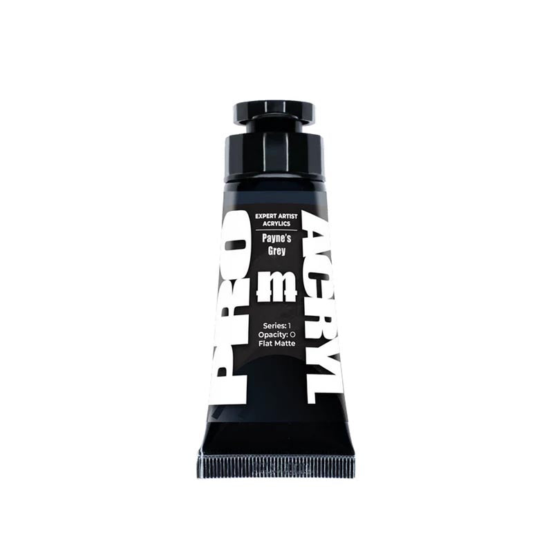 Expert Acrylics - Payne's Grey 013 - 30ml