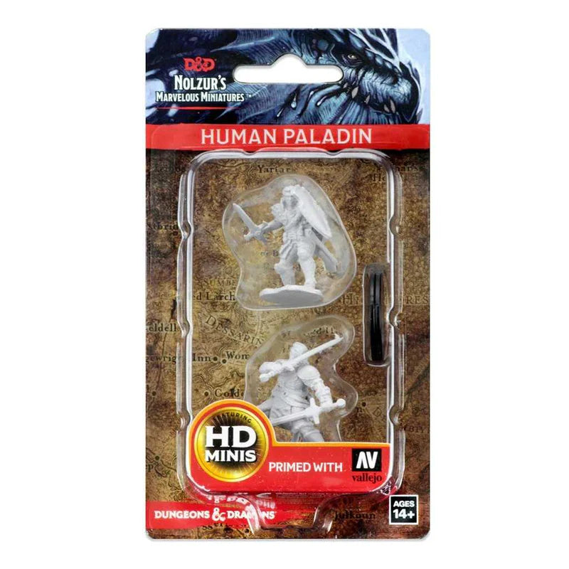 Human Male Paladin: D&D Nolzur's Marvelous Unpainted Miniatures (W3)