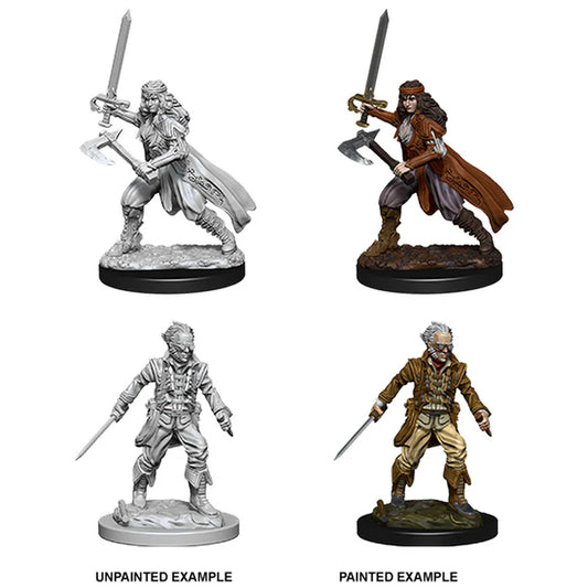 Vampire Hunters: D&D Nolzur's Marvelous Unpainted Miniatures (W8)