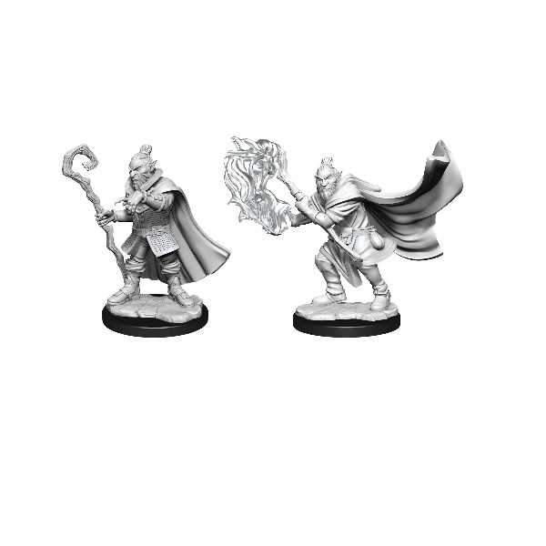 Hobgoblin Wizard and Druid Male: Critical Role Unpainted Miniatures (W1)