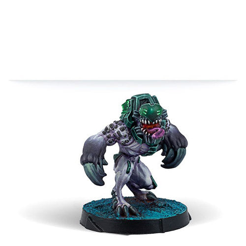 Jayth Cutthroats, Shasvastii Independent Assault Group