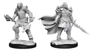 D&D Nolzur’s Marvelous Miniatures: Dragonborn Fighter Female