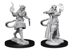 D&D Nolzur’s Marvelous Miniatures: Tiefling Sorcerer Female