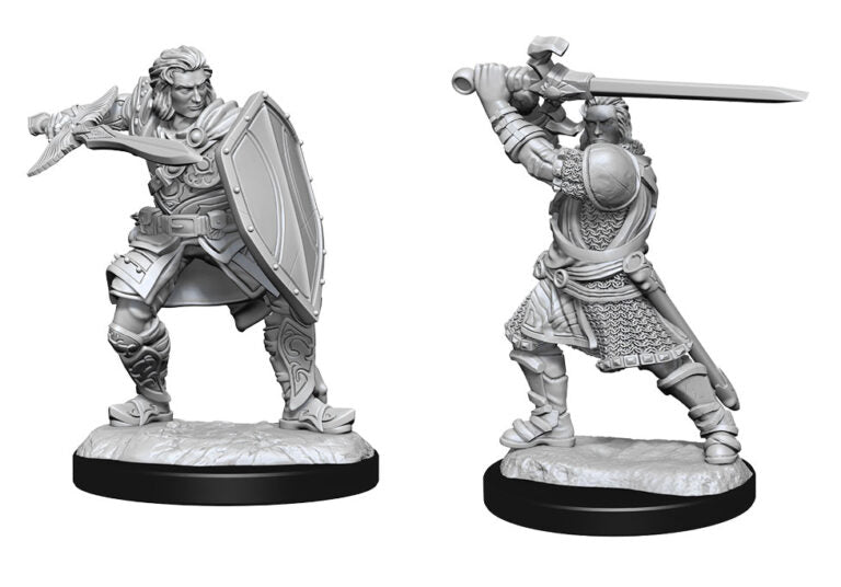 D&D Nolzur’s Marvelous Miniatures: Human Paladin Male