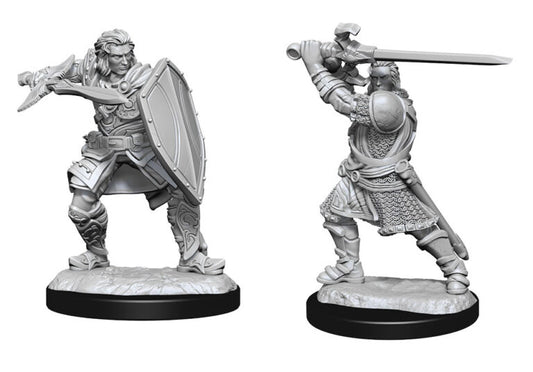 D&D Nolzur’s Marvelous Miniatures: Human Paladin Male