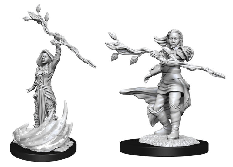 D&D Nolzur’s Marvelous Miniatures: Human Druid Female
