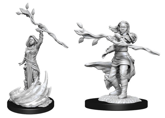 D&D Nolzur’s Marvelous Miniatures: Human Druid Female