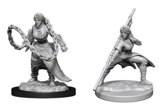 D&D Nolzur’s Marvelous Miniatures: Human Monk Female