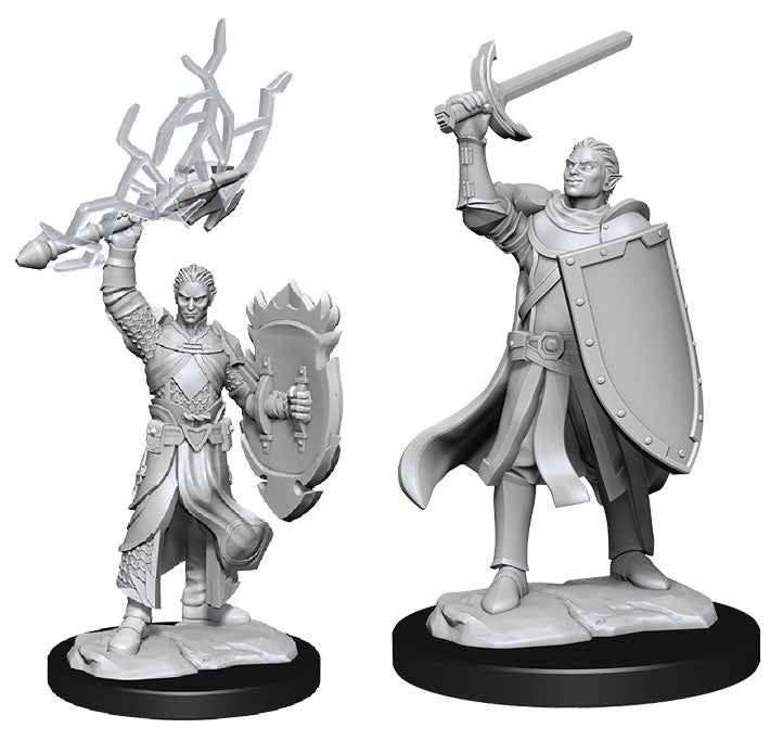 D&D Nolzur’s Marvelous Miniatures: Half-Elf Paladin Male