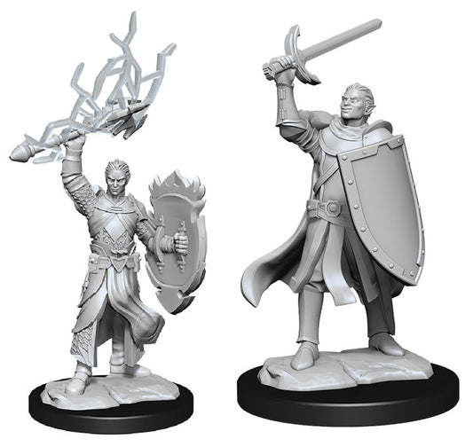 D&D Nolzur’s Marvelous Miniatures: Half-Elf Paladin Male