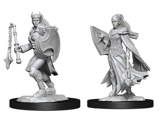 D&D Nolzur’s Marvelous Miniatures: Kalashtar Cleric Female