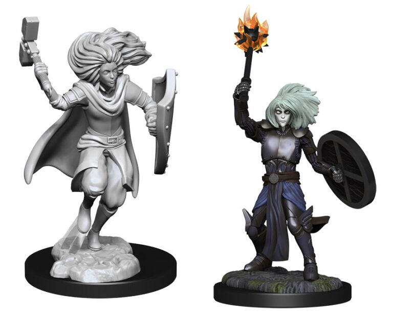 D&D Nolzur’s Marvelous Miniatures: Changeling Cleric