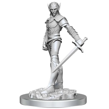 D&D Nolzur's Marvelous Unpainted Miniatures: Drow Fighters