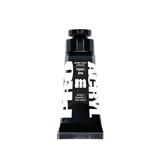 Expert Acrylics - Payne's Grey 013 - 30ml