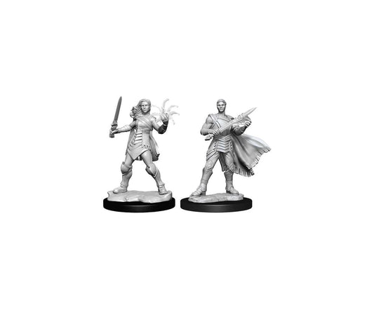 Magic the Gathering Unpainted Miniatures: Rowan Kenrith & Will Kenrith (Fighter, Wizard)