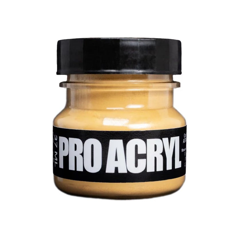 Pro Acryl Weathering Pigments 06 - Raw Sienna