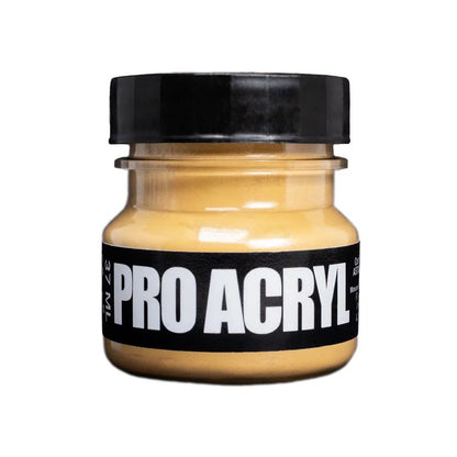 Pro Acryl Weathering Pigments 06 - Raw Sienna