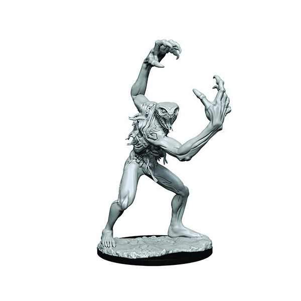 Aeorian Nullifier: Critical Role Unpainted Miniatures (W1)