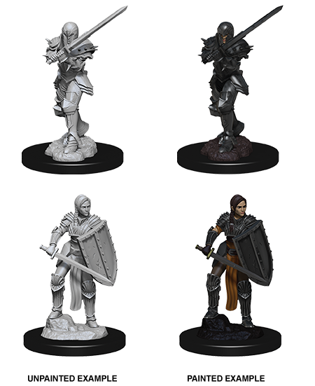 Female Human Fighter: D&D Nolzur's Marvelous Miniatures (W9)