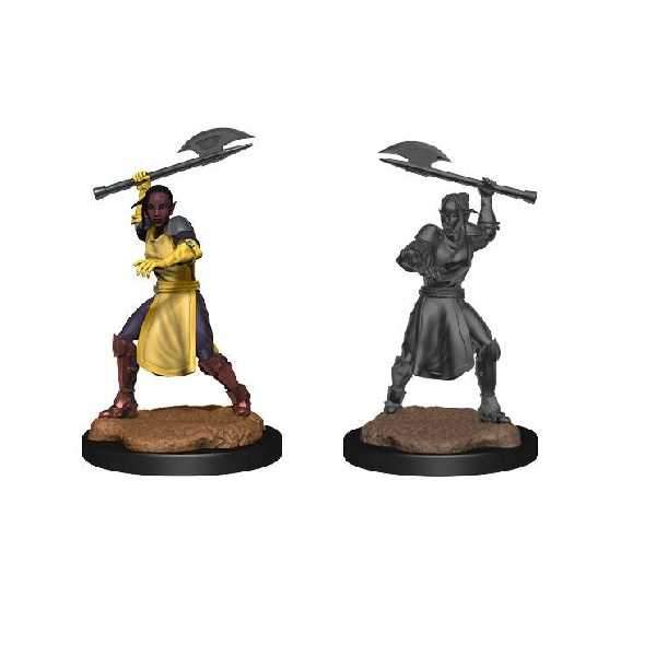 Half-Elf Echo Knight and Echo Female: Critical Role Unpainted Miniatures (W1)